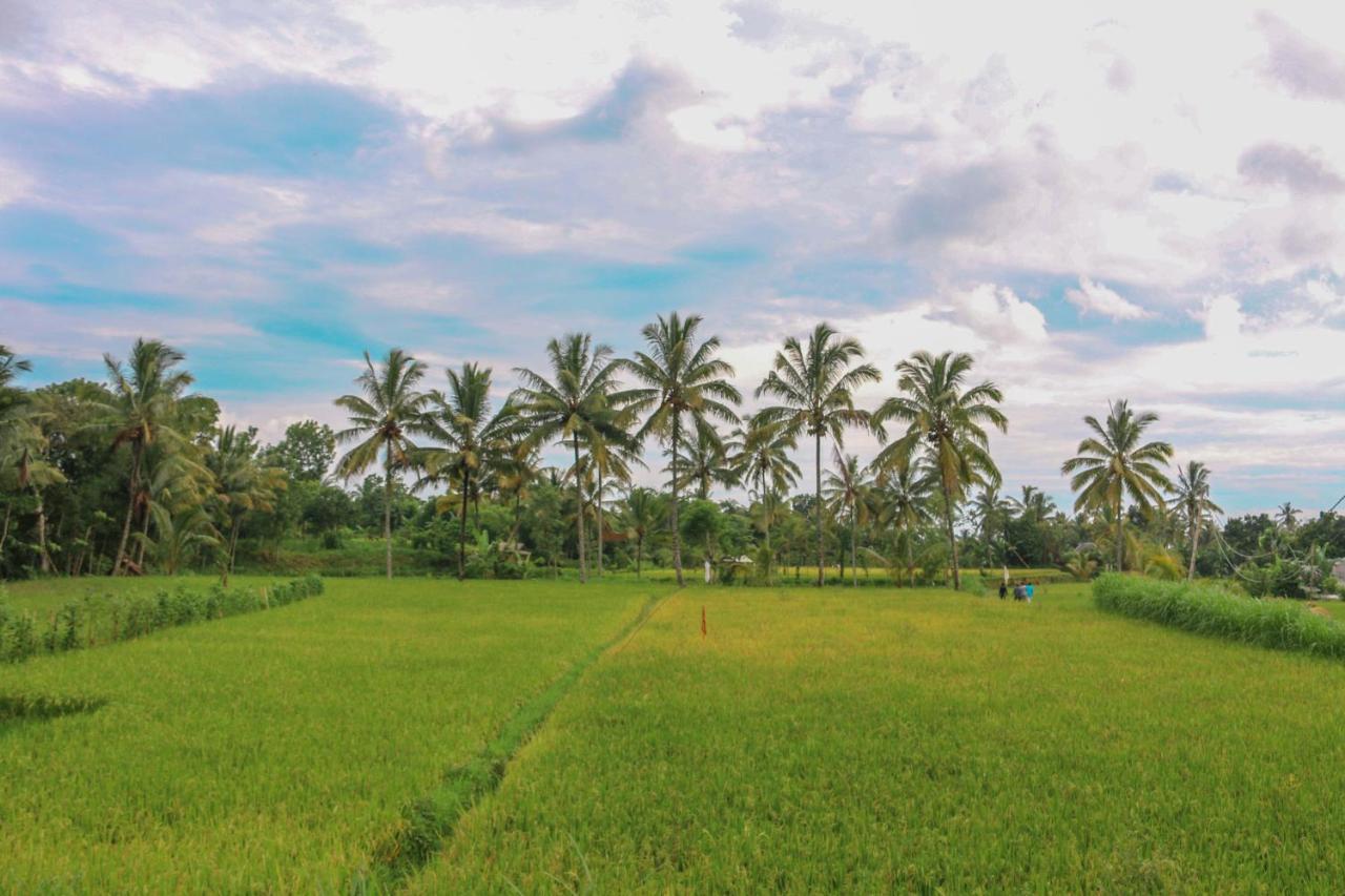 Pondok Rinjani Bungalow Tetebatu Eksteriør billede